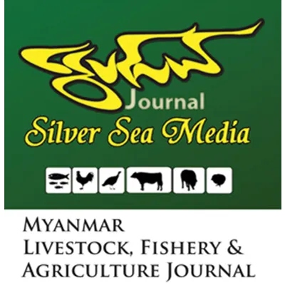 Partner_Silver-Sea-Media
